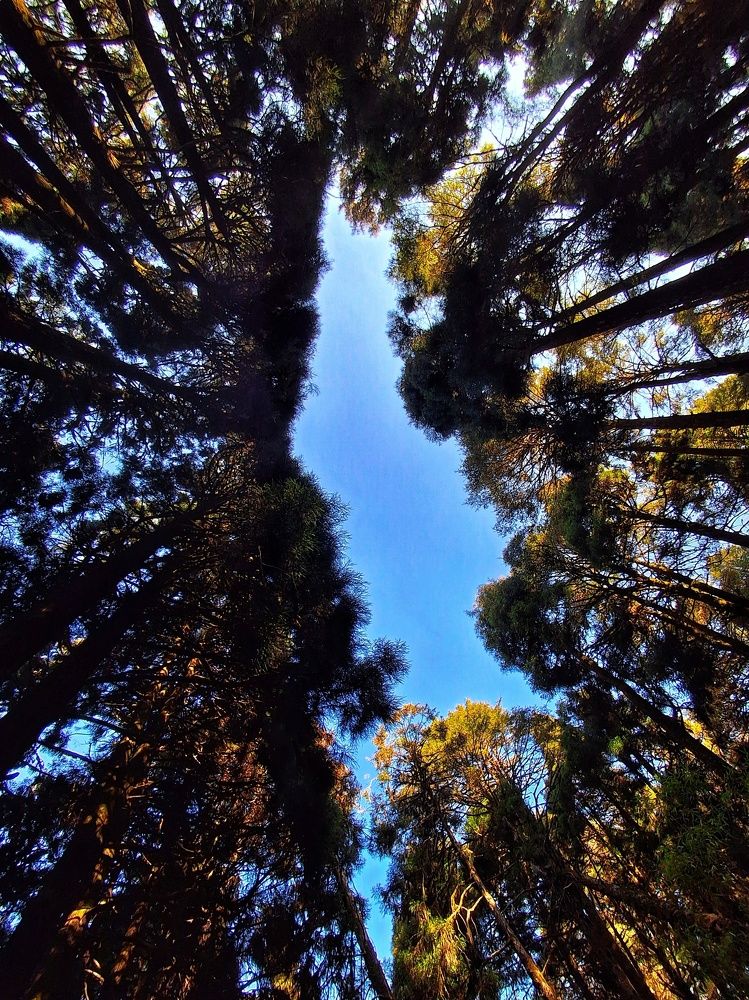 Photograph by SHYAMAL ROY