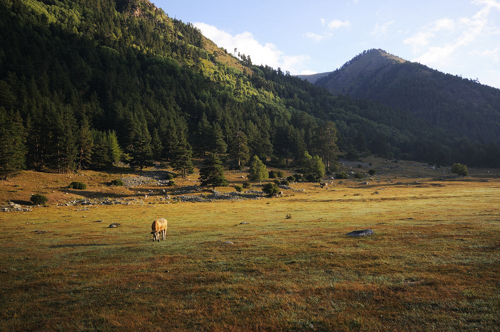 Photograph by Сергей Калинин