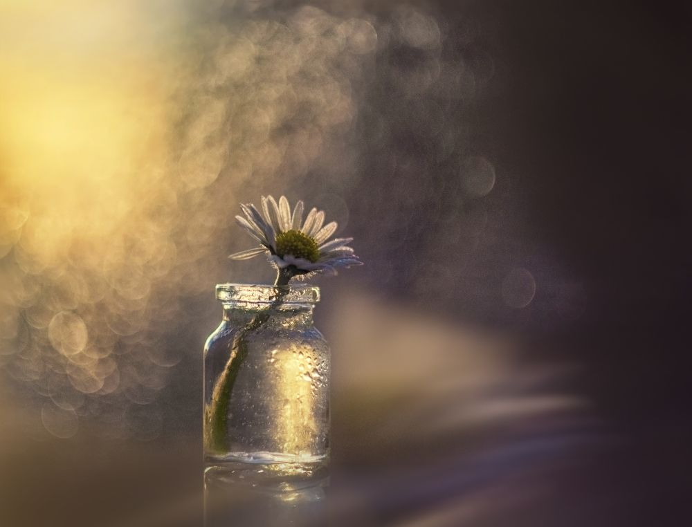 Фотография автора Сигидова Ирина