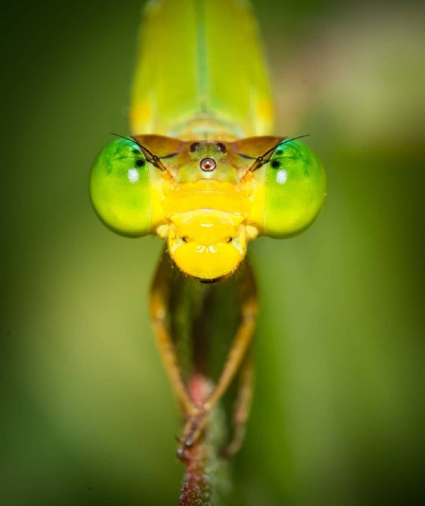 Photograph by Sudha Surendran