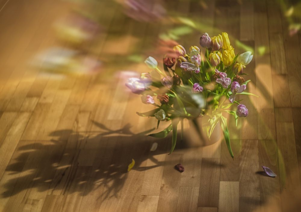 Фотография автора Сигидова Ирина