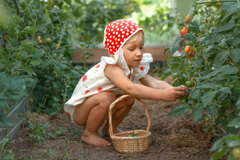 Photograph by Ольга Паутова