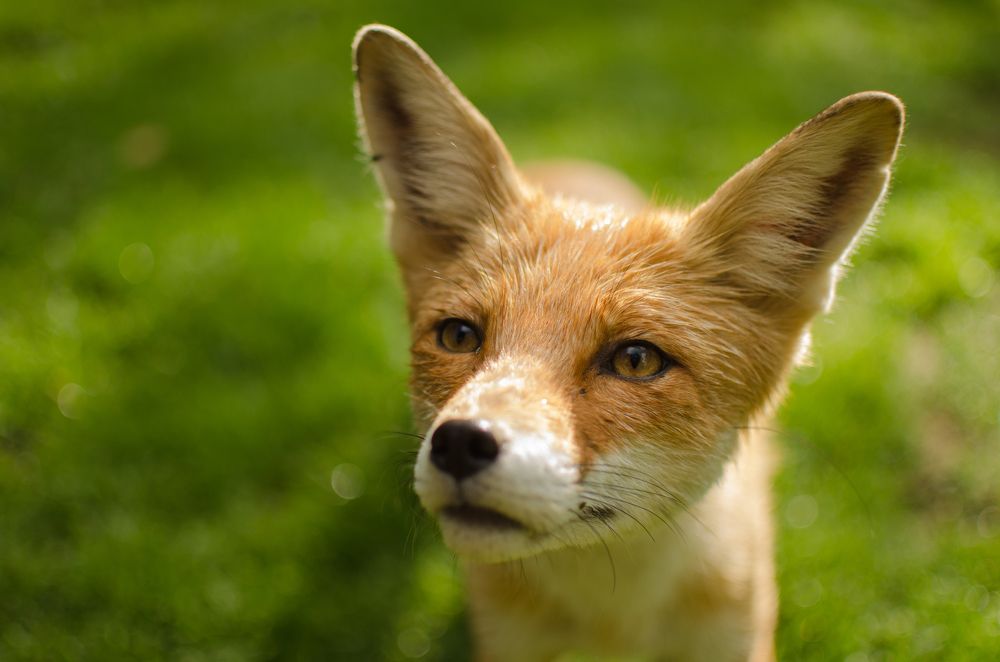 Photograph by Валерия Паринова