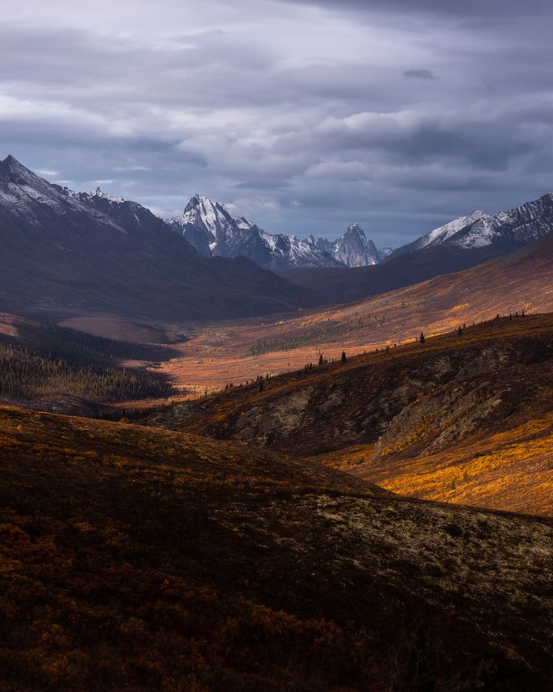 Photograph by Tse Hugo