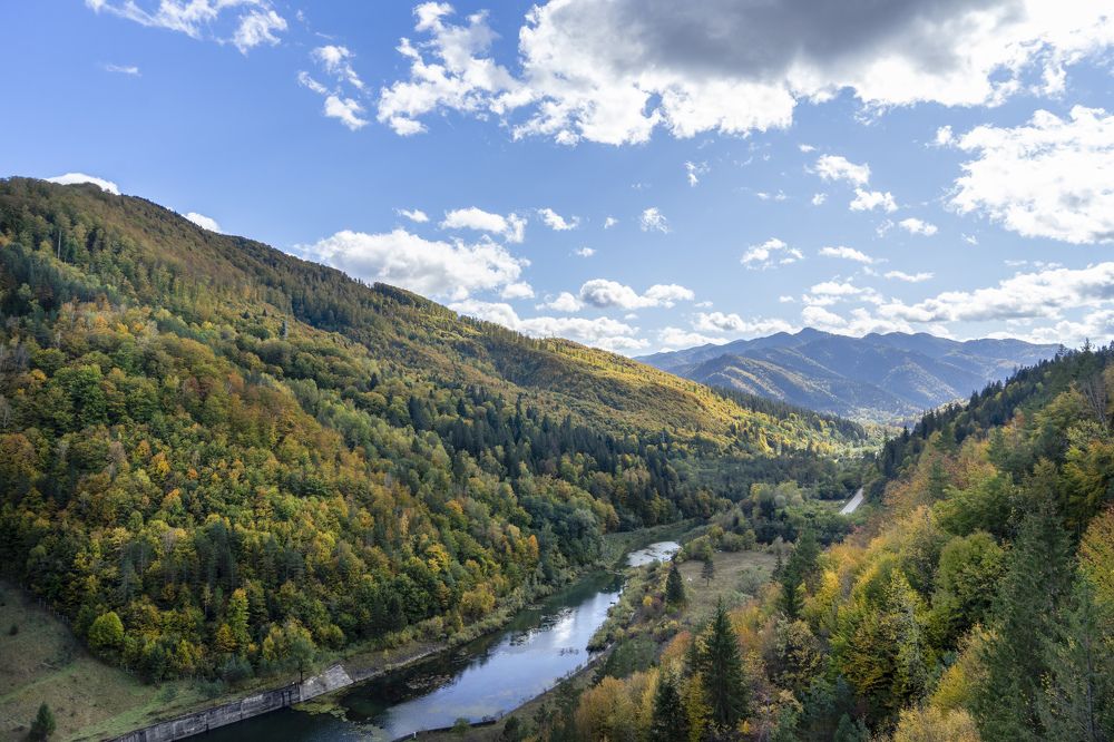 Фотография автора Ирина Зайцева