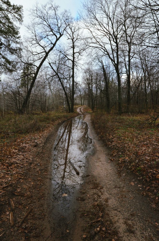 Photograph by Валерия Паринова