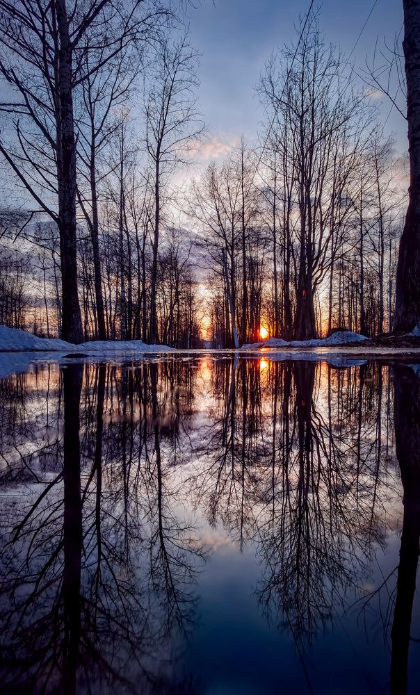 Photograph by Светлана Перминова