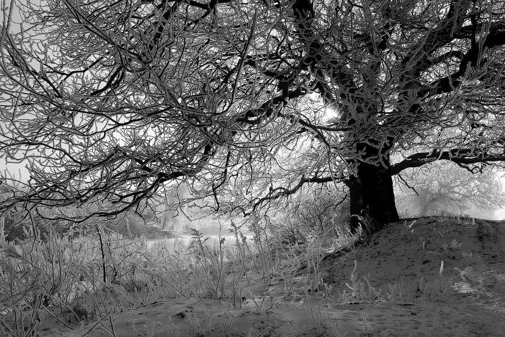 Фотография автора Игорь Баранов