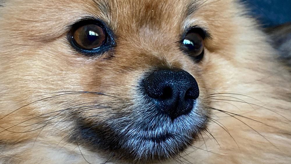 Photograph by Ольга Пилиповец