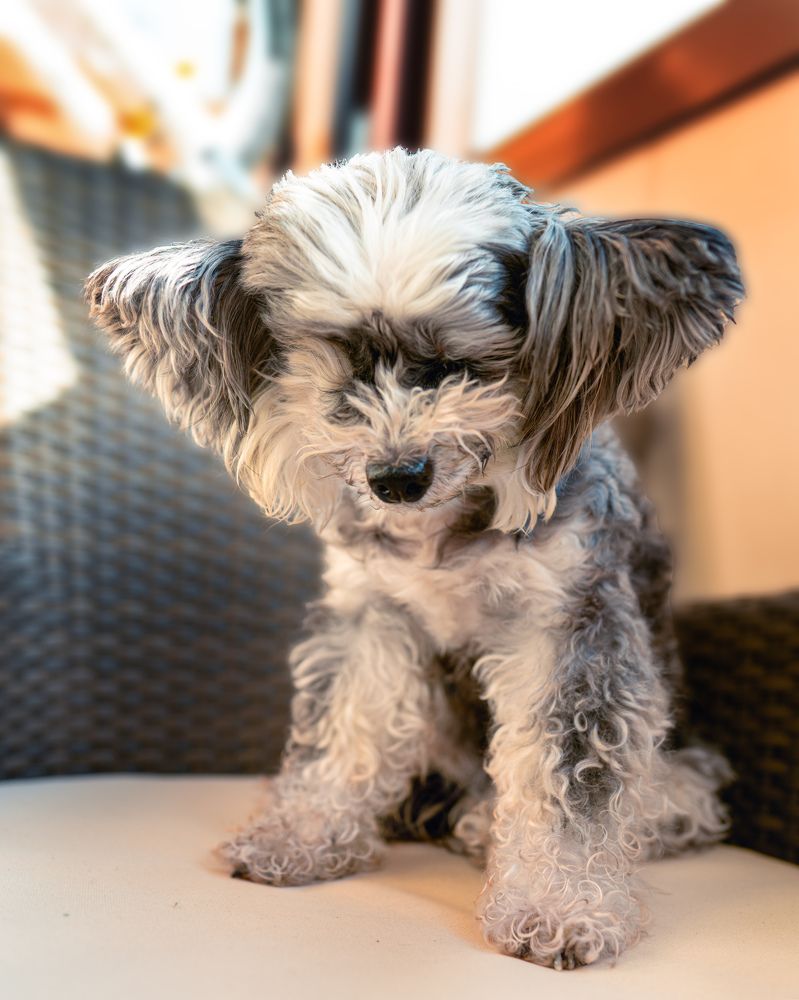 Фотография автора Ирина Гусева