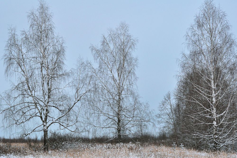 Photograph by  Kerry Moore