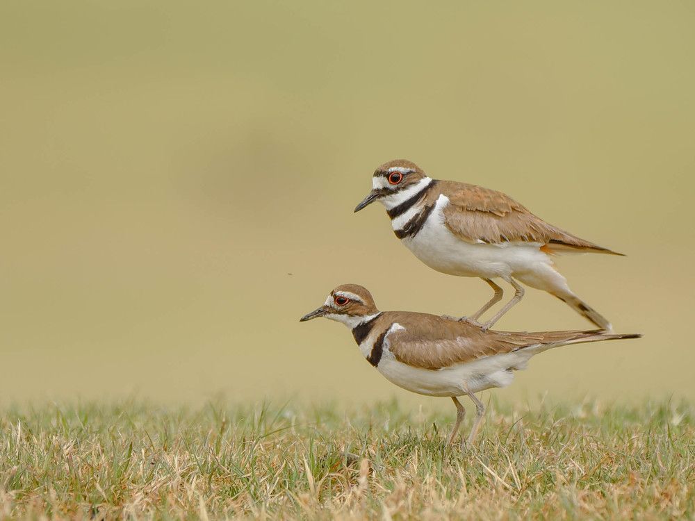 Photograph by Antara Chakravarty