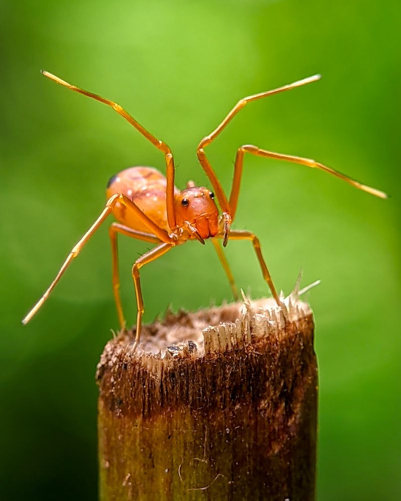 Photograph by Vaishnav K V