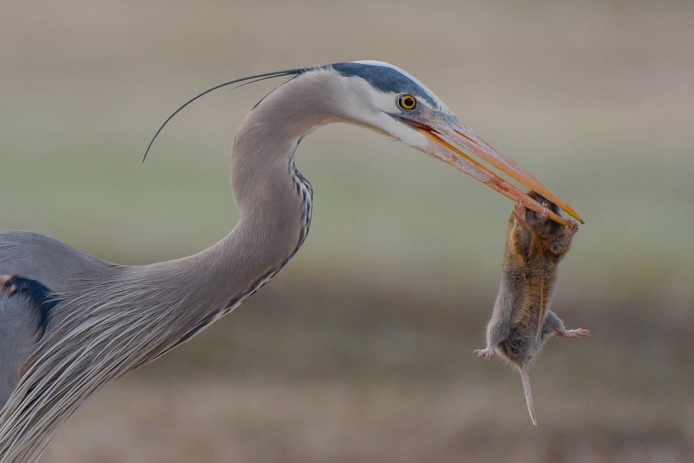 Photograph by Antara Chakravarty