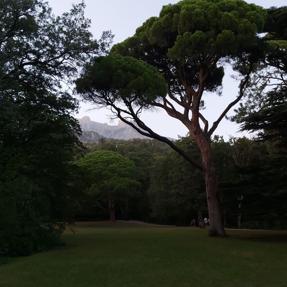 Photograph by Елена Максимовна