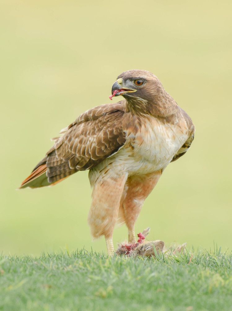 Photograph by Antara Chakravarty