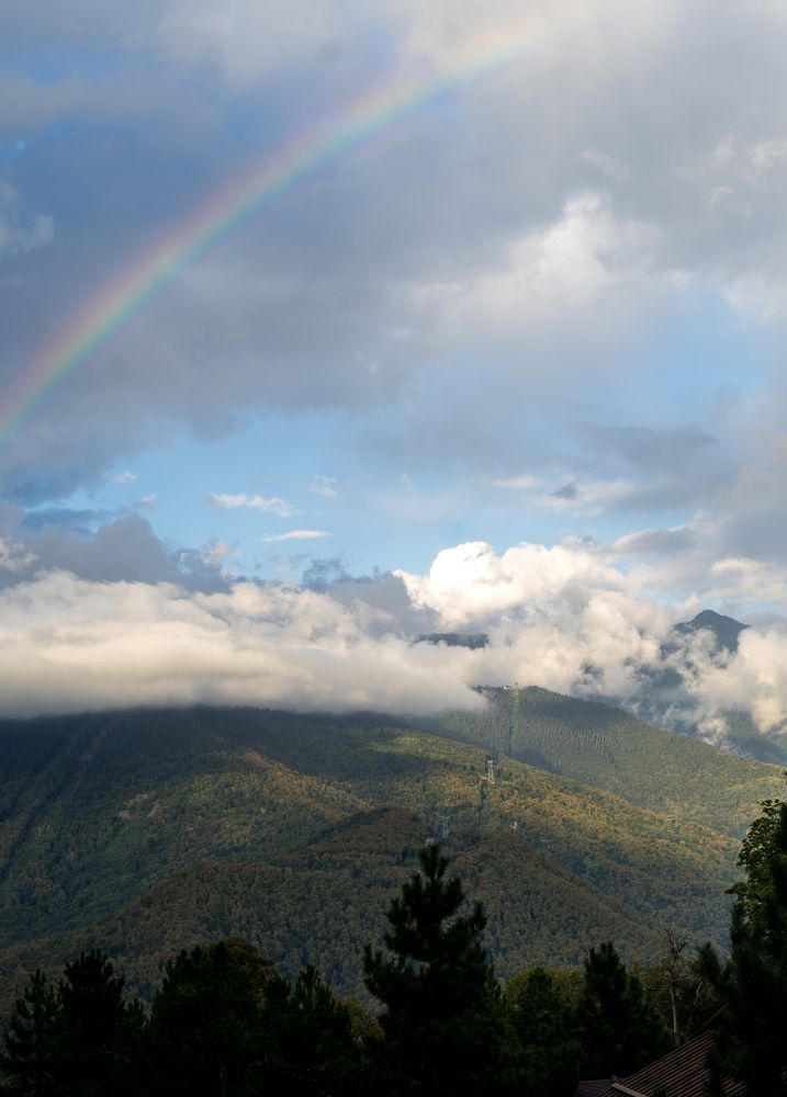 Фотография автора Василиса Новикова