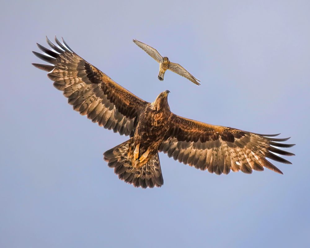 Photograph by Hassan Rokni