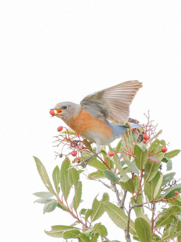 Photograph by Antara Chakravarty