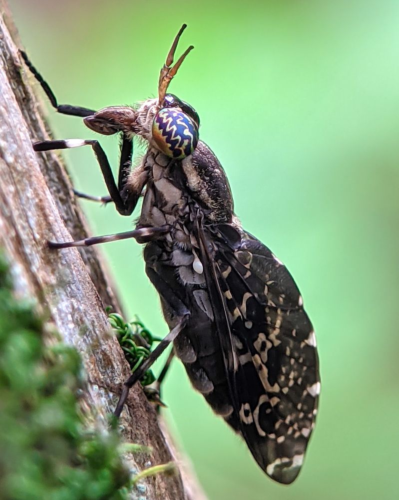 Photograph by Vaishnav K V