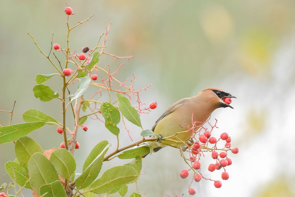 Photograph by Antara Chakravarty