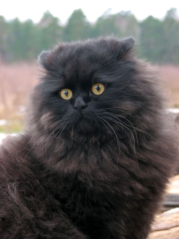 Photograph by Екатерина Родина