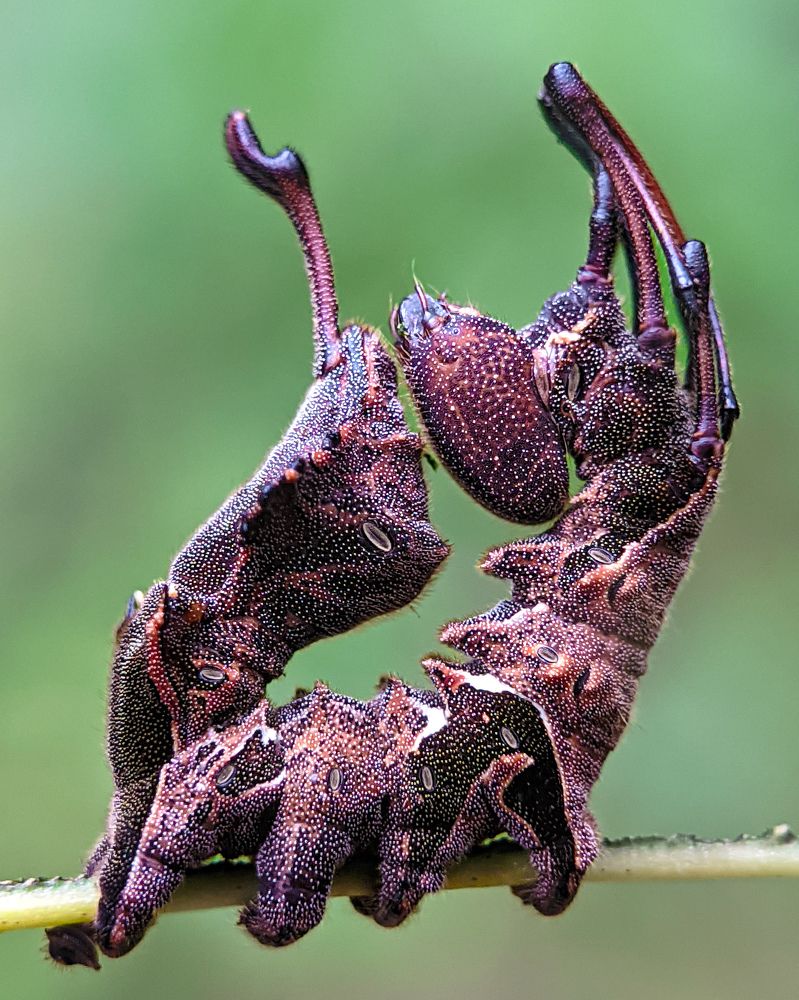 Photograph by Vaishnav K V