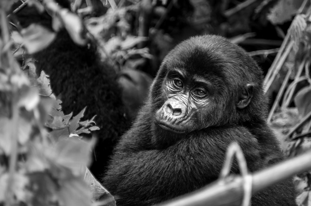 Photograph by Sara Fernandes