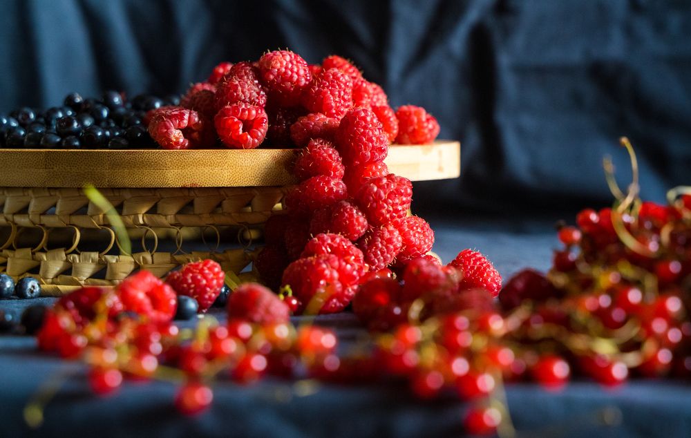 Фотография автора Василиса Новикова