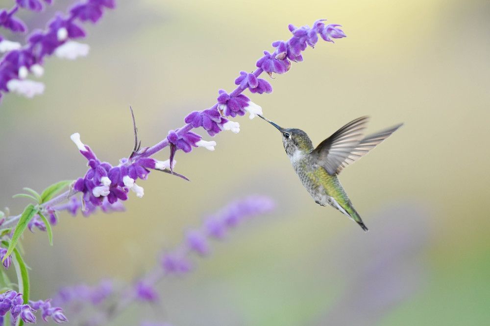 Photograph by Antara Chakravarty