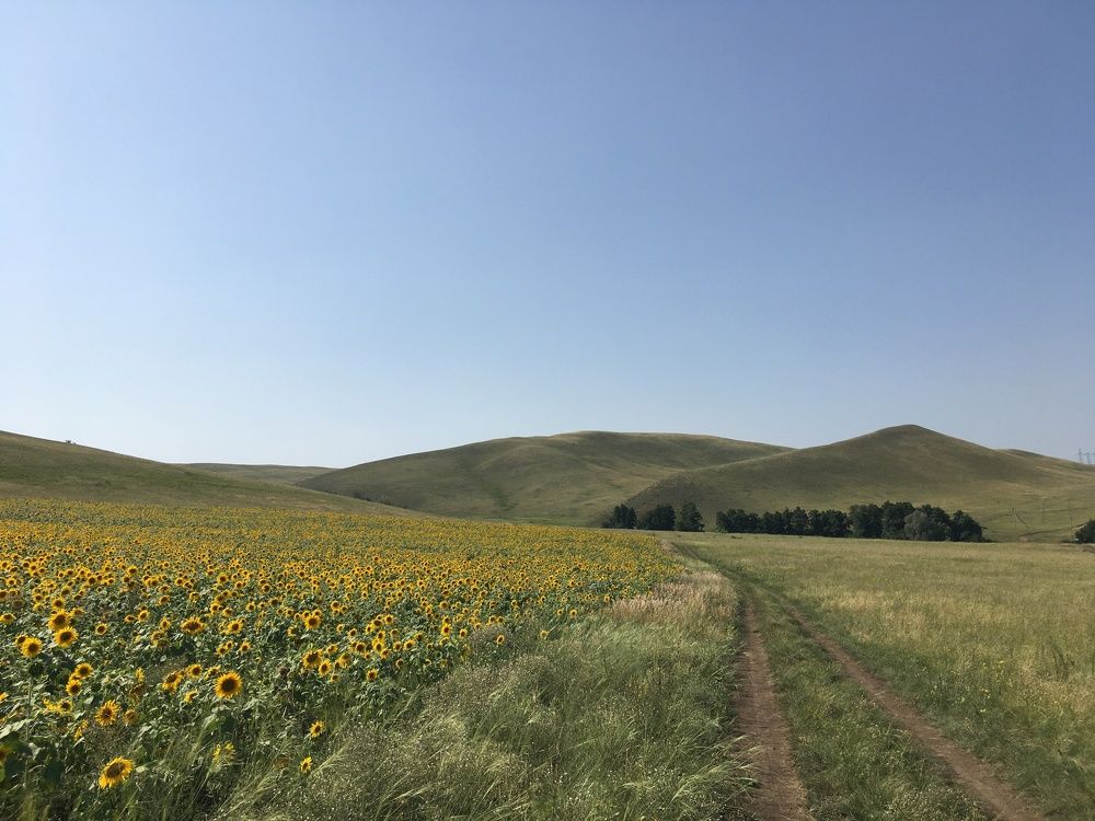 Photograph by Константин Калинин