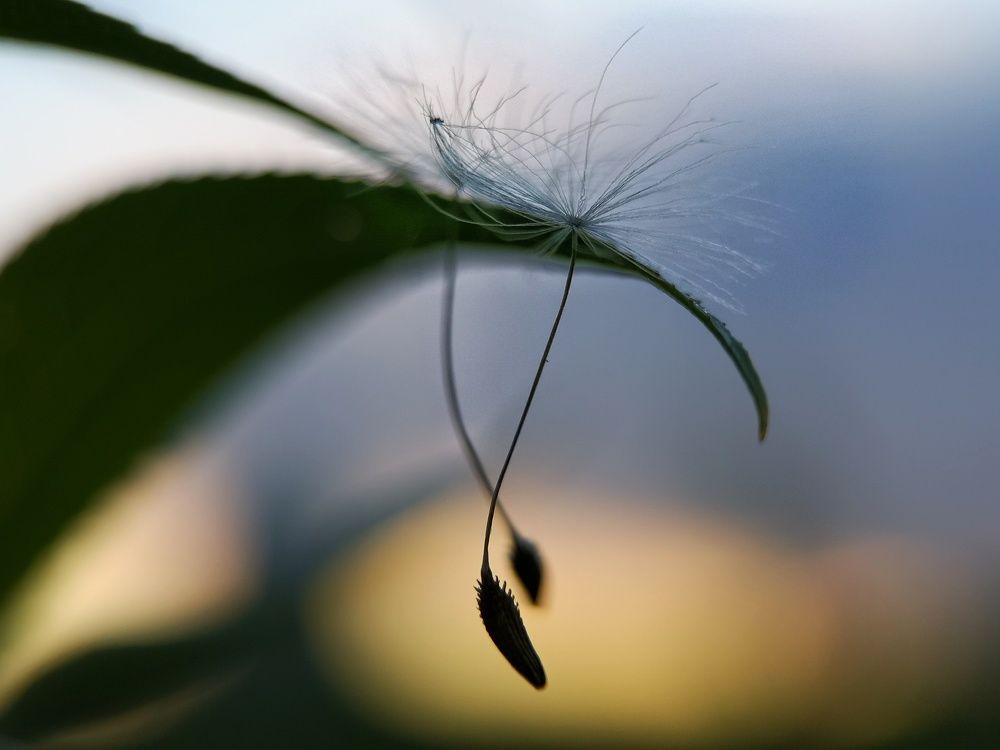 Photograph by Natali AB