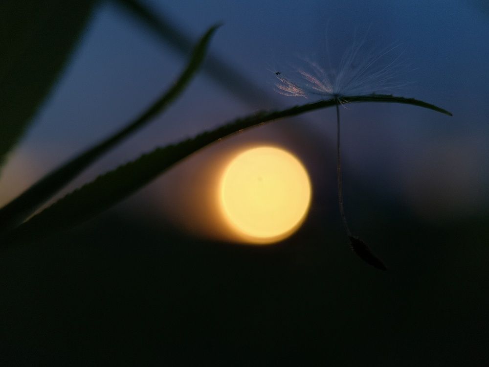 Photograph by Natali AB