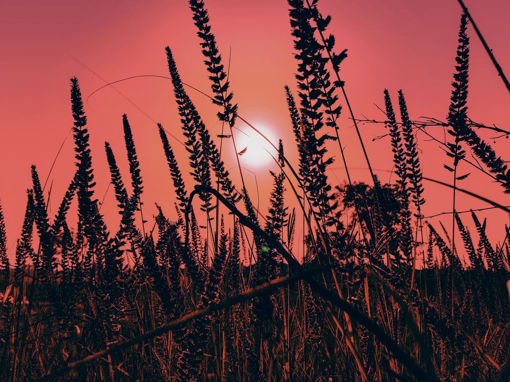 Sunset From A Different Point of View