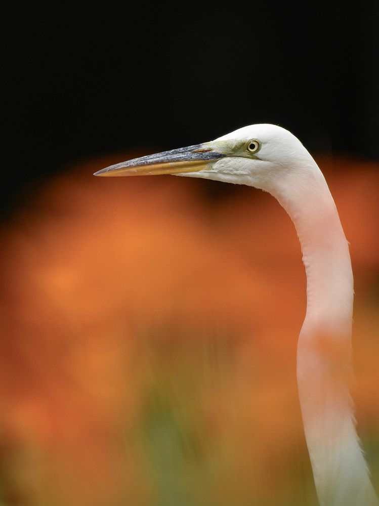 Photograph by Antara Chakravarty