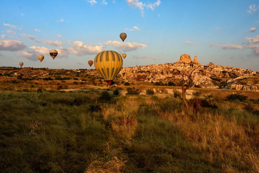 Photograph by Инна Мельникова