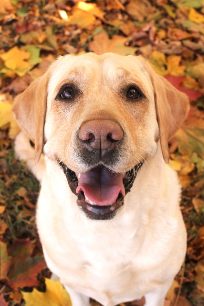 Photograph by Ольга