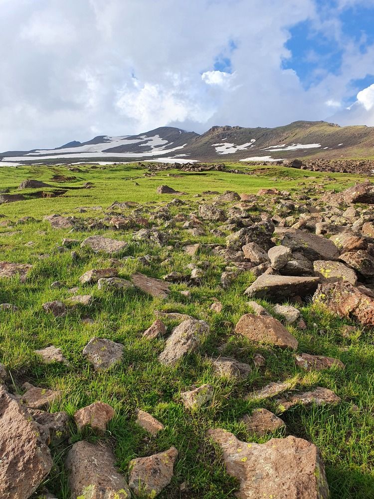 Photograph by Анастасия Езепчук