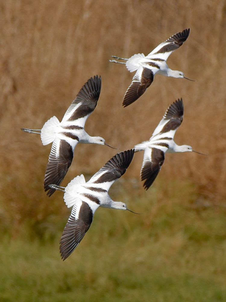 Photograph by Antara Chakravarty