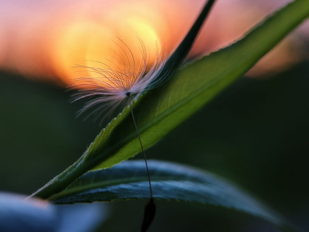 Photograph by Natali AB