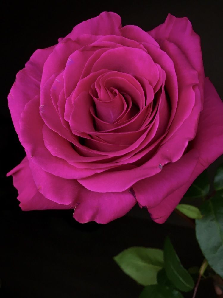 Photograph by Константин Калинин