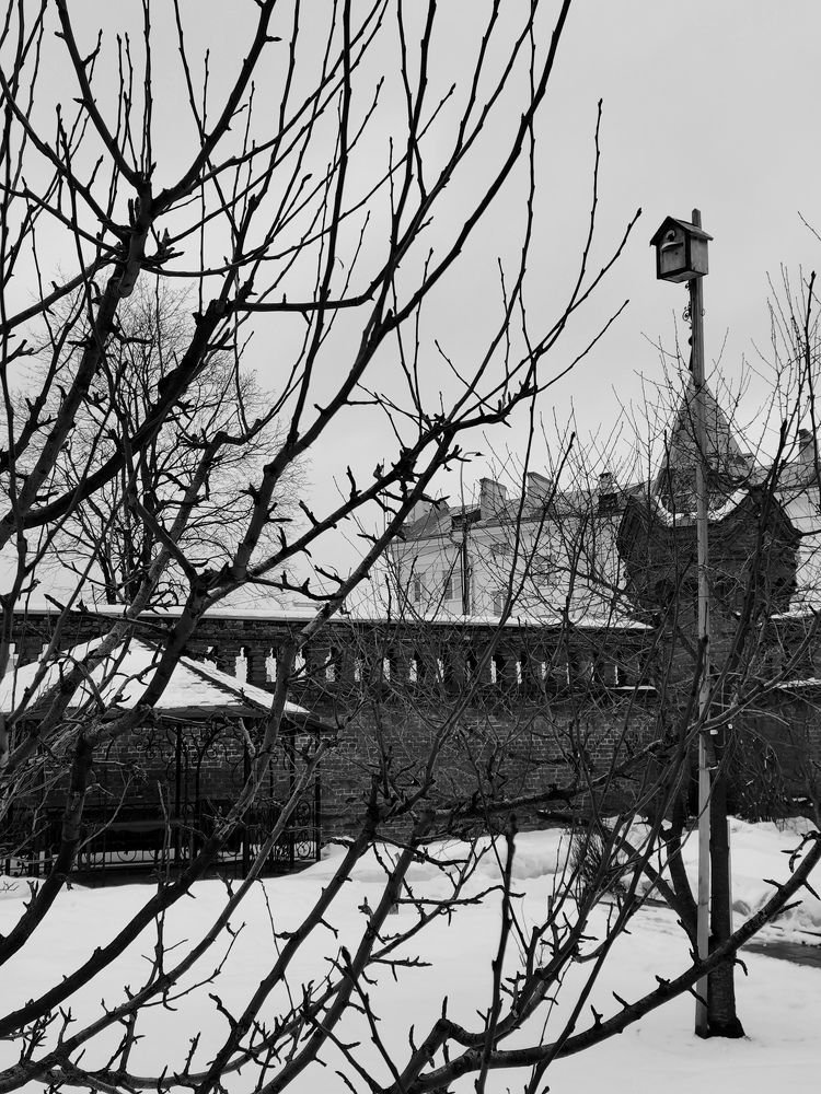 Photograph by Юлия