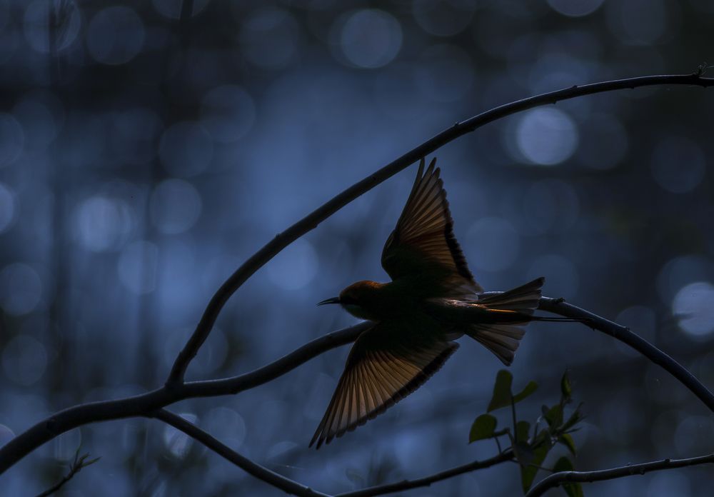 Photograph by kapil kolte