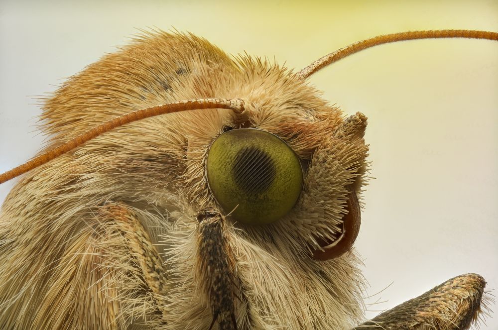 Photograph by Юрий Юрьевич