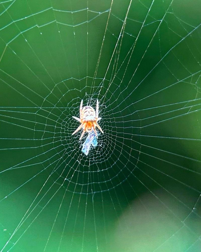 Photograph by Олег Ведерников