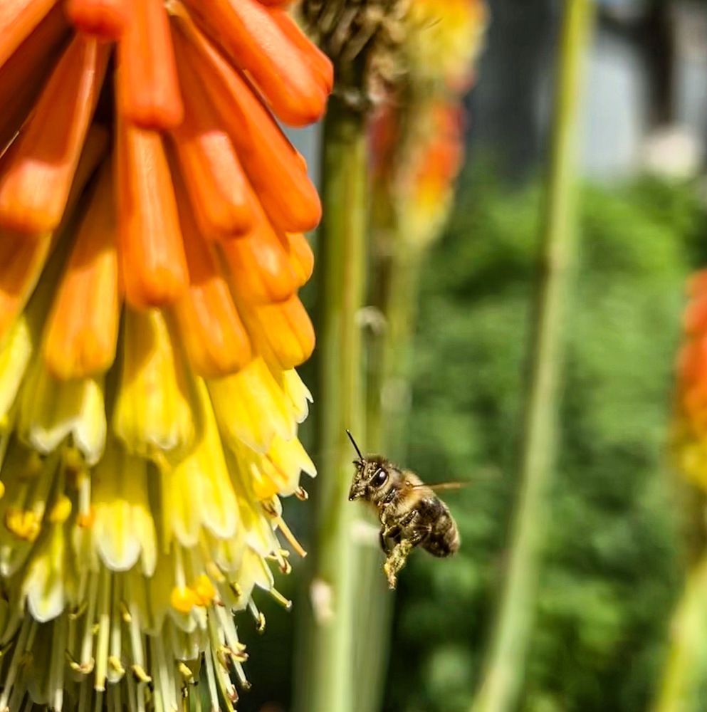 Photograph by Олег Ведерников