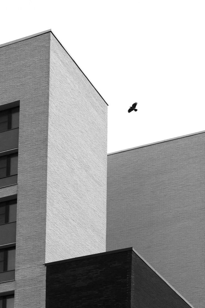 Photograph by Алексей Михайлов