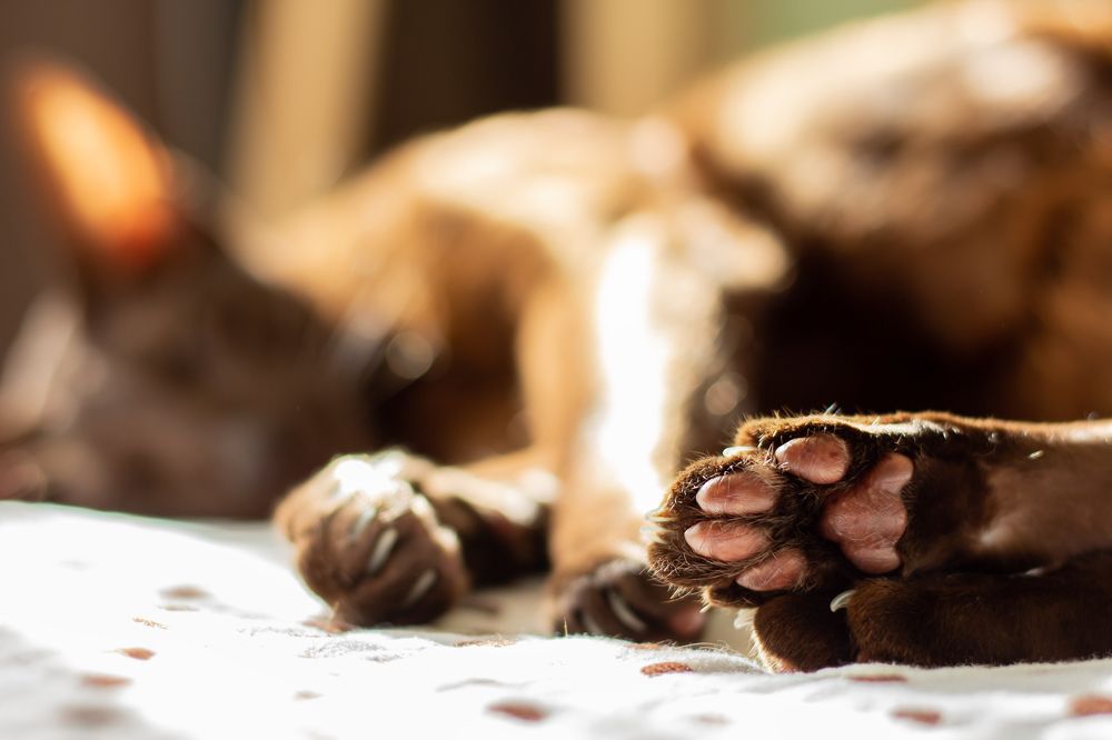 Photograph by Вера Филипченко