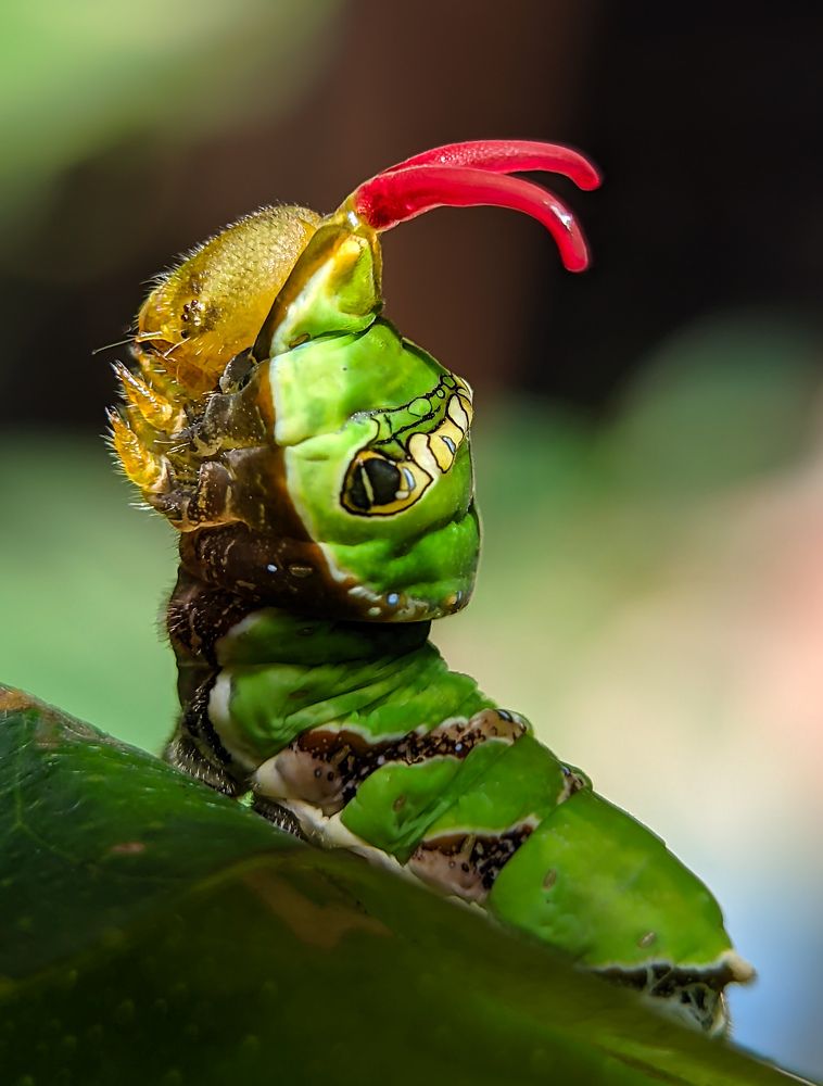 Photograph by Vaishnav K V