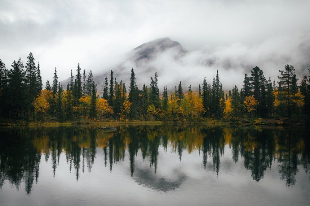Photograph by Алексей Ретюнских